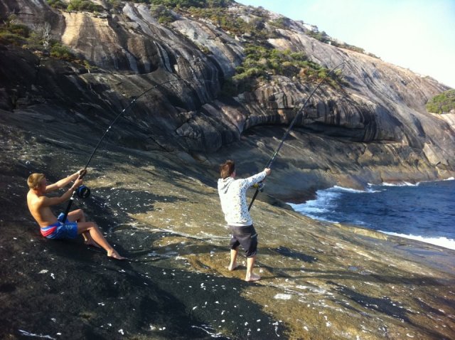 double hook up on 2.5m+ sharks double hook up on 2.5m+ sharks